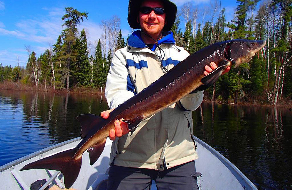 Sturgeon Fishing Ogoki Reservoir