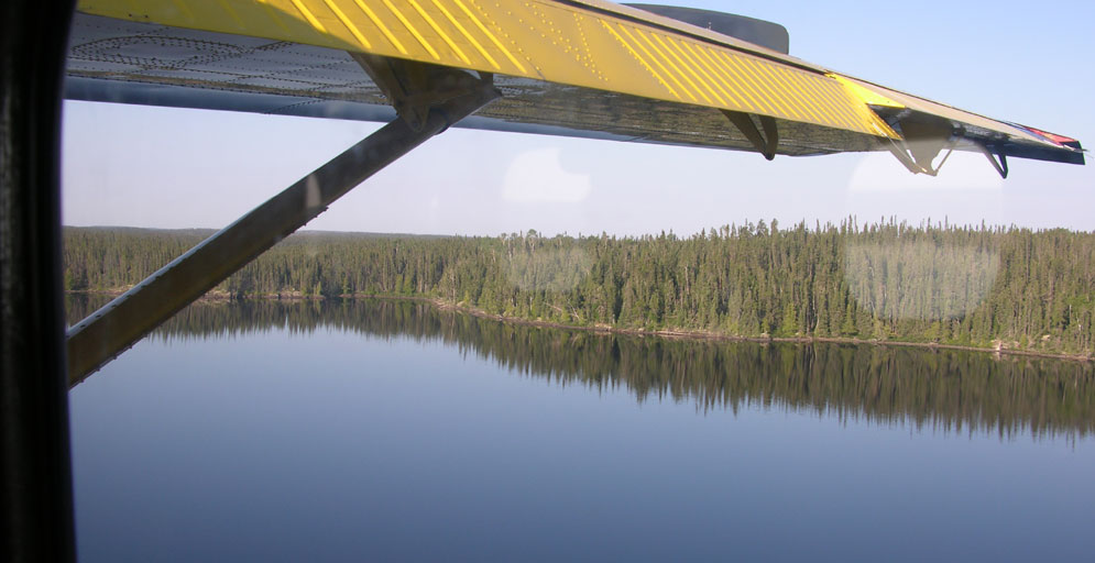 Early Season Walleye Fishing at The Ogoki Reservoir