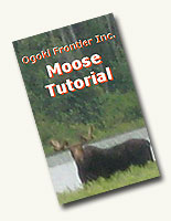 Moose Tutorial